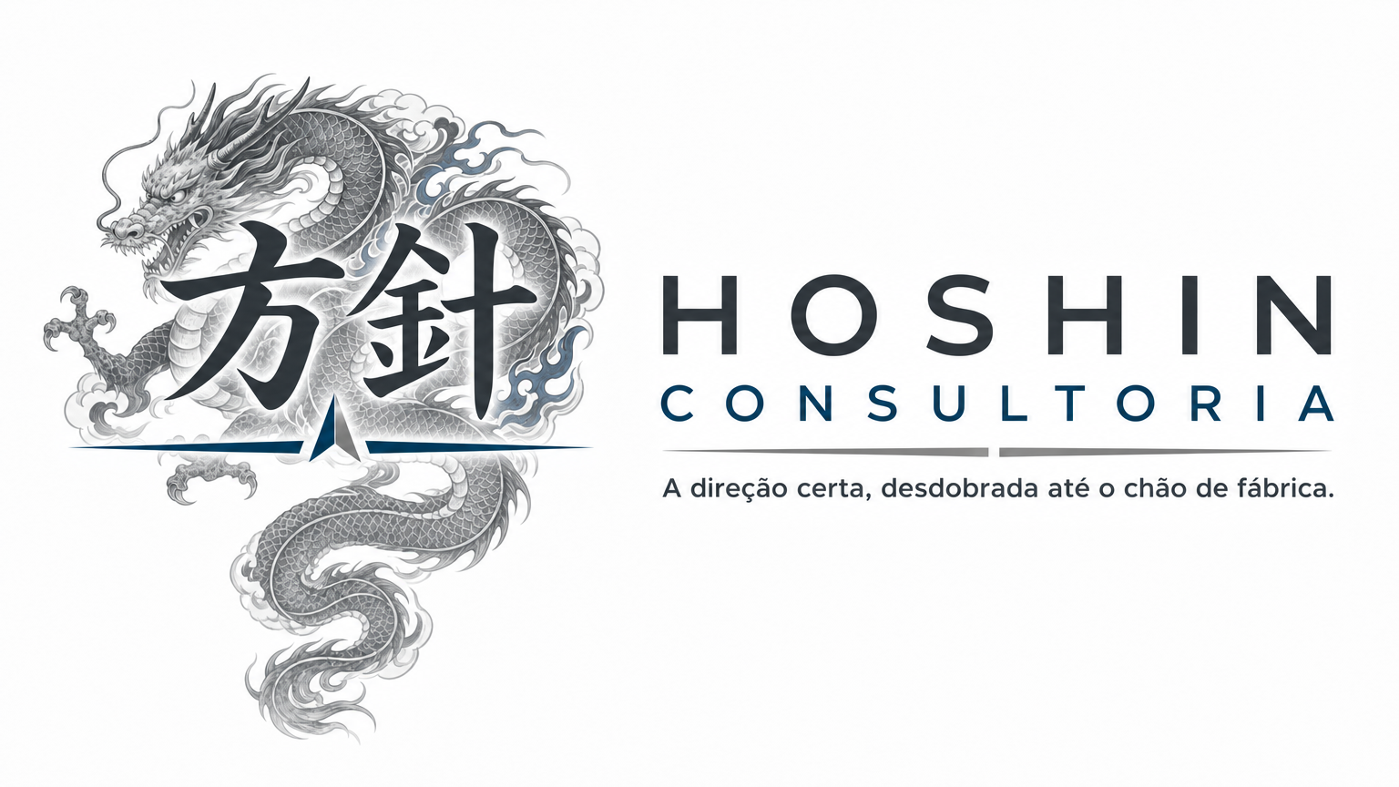 Hoshin Consultoria